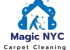 Carpet_Cleaning_Logos-removebg-preview (1)